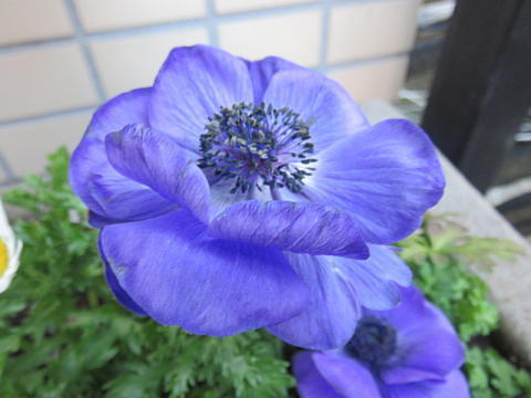 d0046702_06050542.jpg