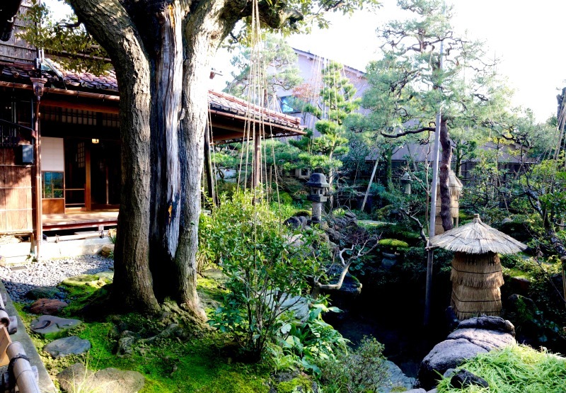 加賀の庭園_c0006305_14525041.jpg