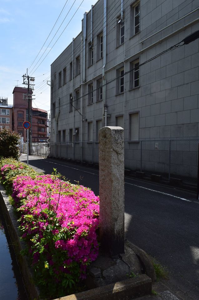 建築家・関根要太郎、生誕130年・没後60年(その2)_f0142606_04320827.jpg