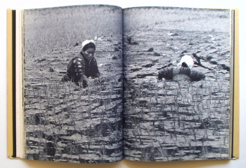 コーネル・キャパによる写真アンソロジー「The Concerned Photographer 2」（1972） : ガレリア・イスカ通信