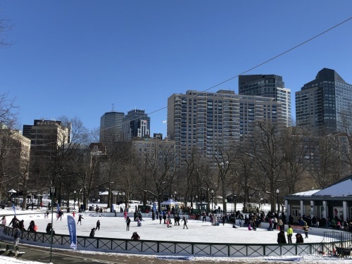 Winter Scene In Boston ボストンの冬の風景 ファルマウスミー