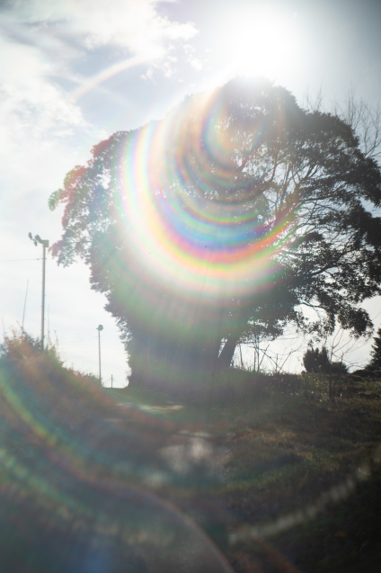 OPL Foca OPLAREX f1.9 50mm　オールドレンズ OPL Foca OPLAREX f1.9 50mm オールドレンズ - メルカリ