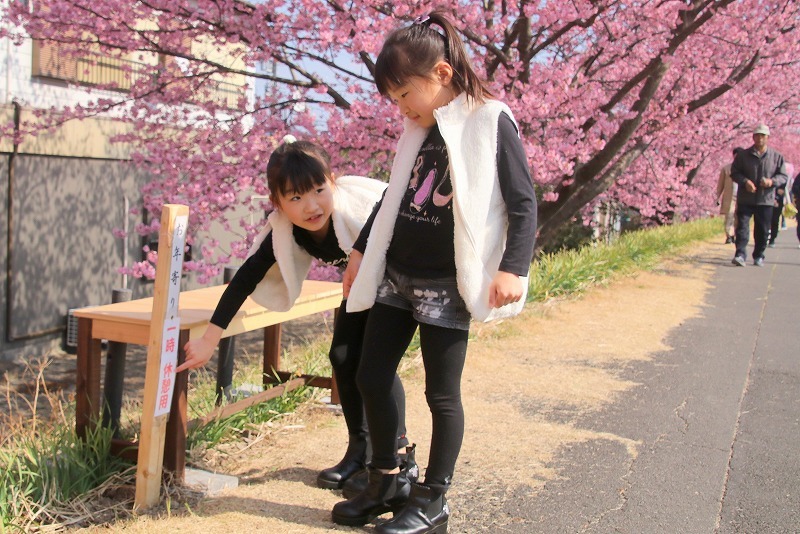 桜と双子_f0327034_19483192.jpg