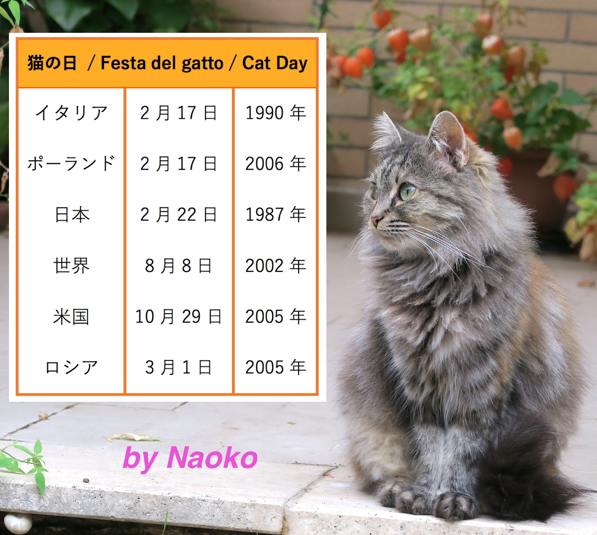 イタリアの猫の日が2月17日になった理由_f0234936_5555830.jpg