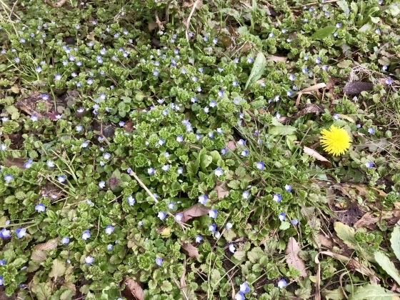 b0132338_13394742.jpeg