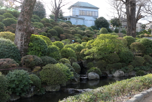 はん亭で串揚げランチ＆根津神社_c0331754_14363768.jpg