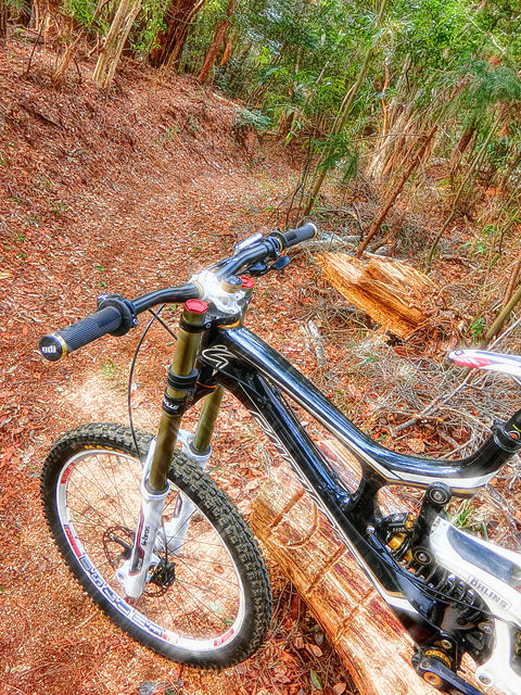 downhill_b0049658_10112460.jpg