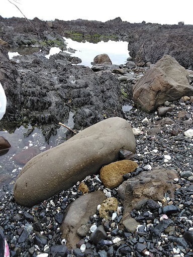 c0172261_09580137.jpg
