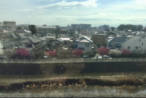 a0053063_14103695.jpeg