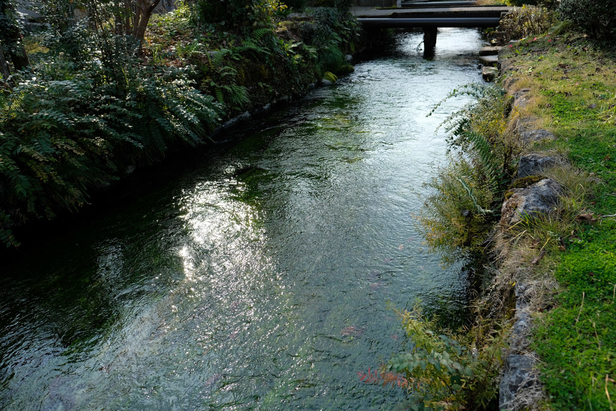 c0084666_16325286.jpg