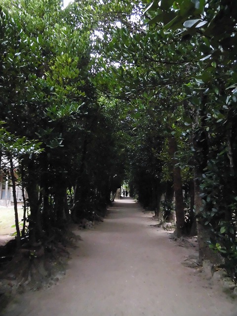 a0347778_10134582.jpg