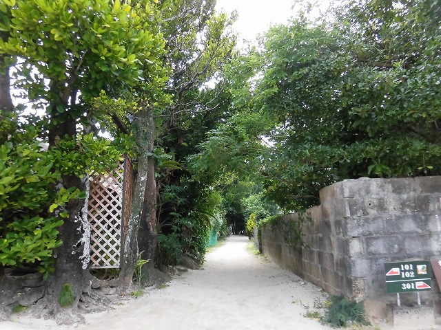 a0347778_10183537.jpg