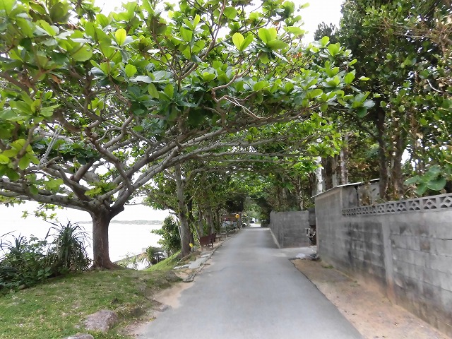a0347778_10233718.jpg