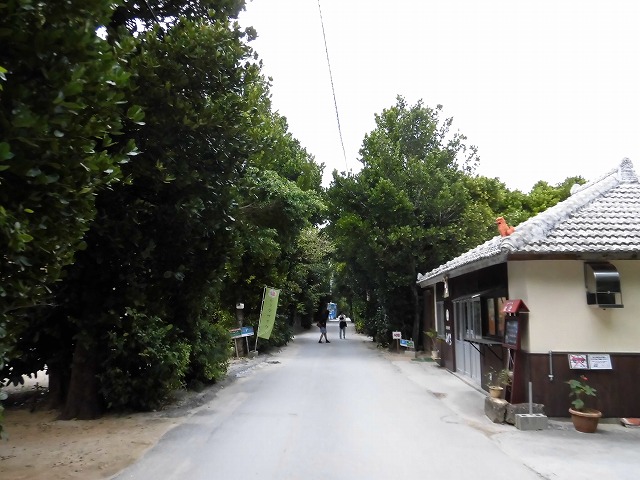 a0347778_10254340.jpg