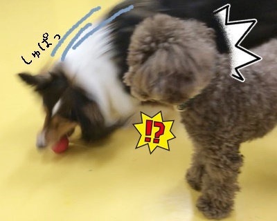 だいすきな…_f0357682_19301921.jpg
