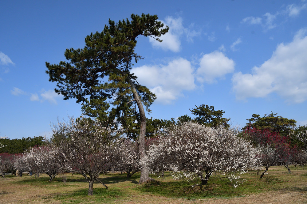 a0143491_00012477.jpg