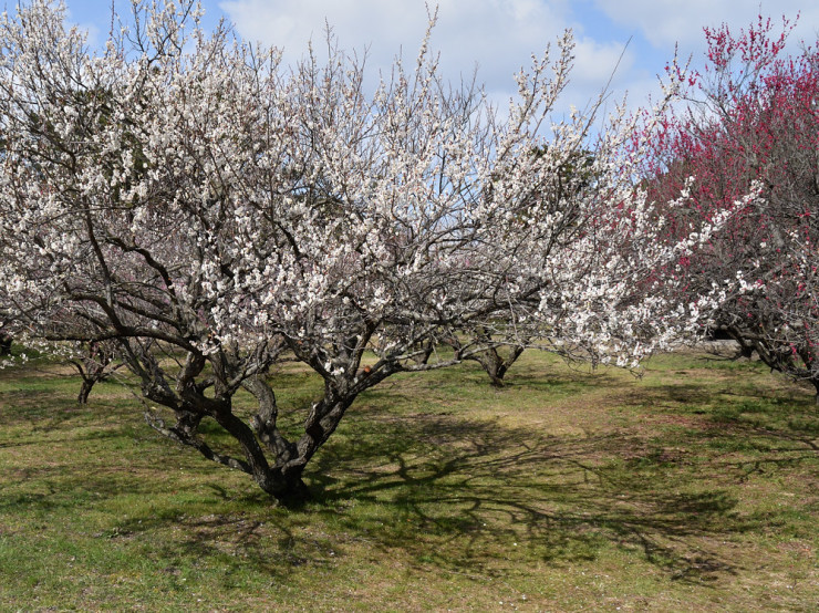 a0143491_00034709.jpg