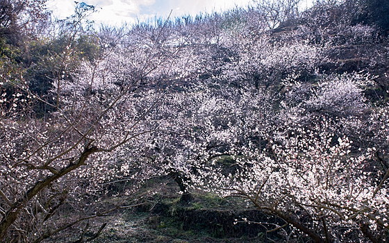 e0176993_09441014.jpg