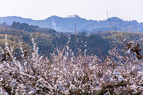 e0176993_09441073.jpg