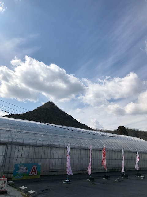 いちご狩り_f0204295_20123219.jpg