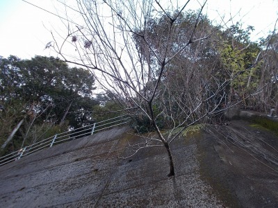 f0308898_19003448.jpg