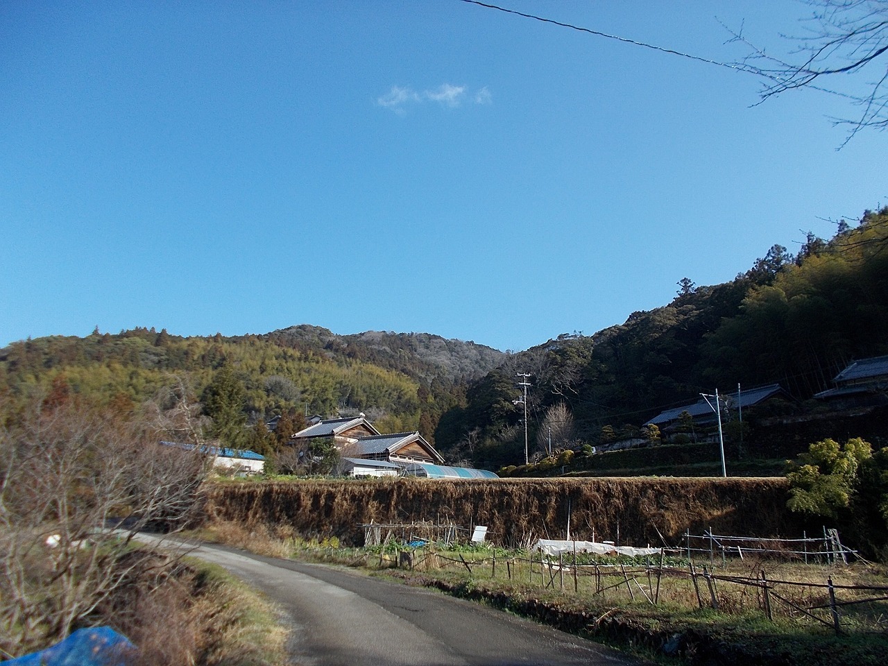 f0308898_19004242.jpg