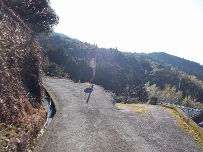 f0308898_19011482.jpg