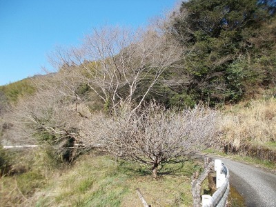 f0308898_19012249.jpg