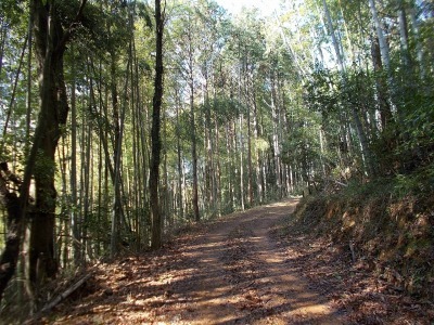 f0308898_19013738.jpg