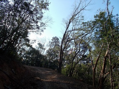f0308898_19014779.jpg