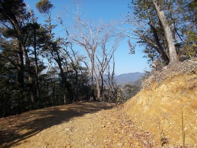 f0308898_19015822.jpg