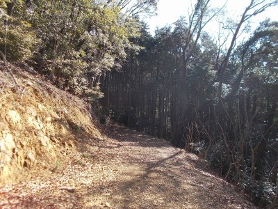 f0308898_19022013.jpg