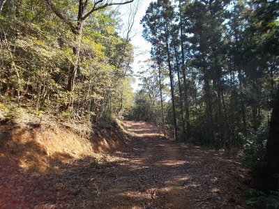 f0308898_19023175.jpg