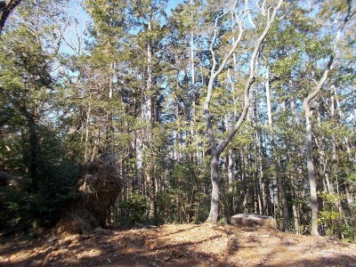 f0308898_19023957.jpg