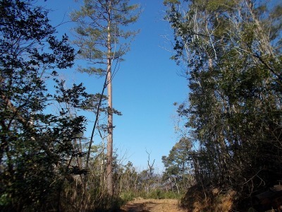 f0308898_19043778.jpg