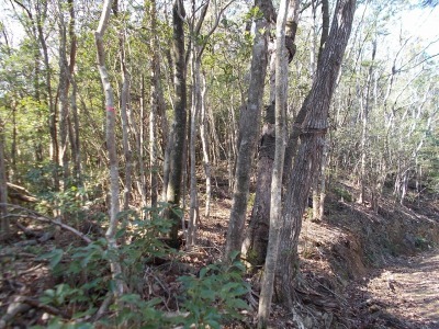 f0308898_19044553.jpg