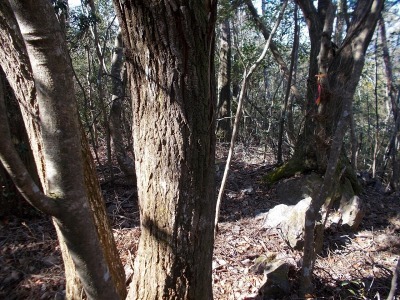 f0308898_19050563.jpg