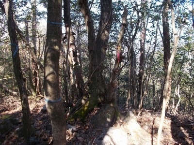 f0308898_19112050.jpg