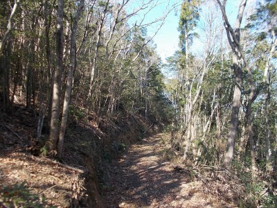 f0308898_19113636.jpg