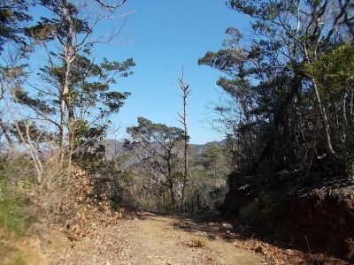 f0308898_19121276.jpg