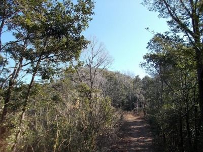 f0308898_19122067.jpg