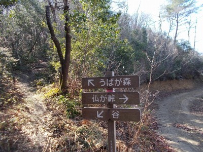 f0308898_19125278.jpg