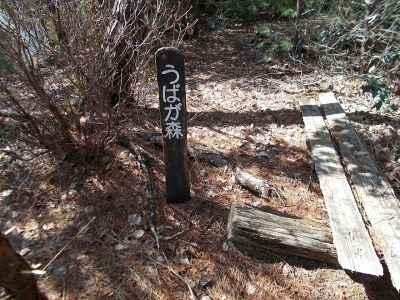 f0308898_19141860.jpg