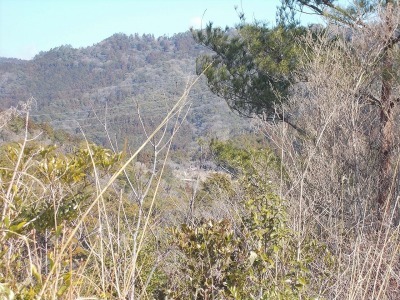 f0308898_19161318.jpg