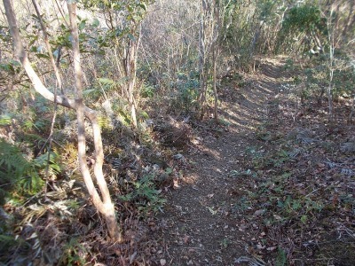 f0308898_19163002.jpg