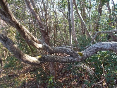 f0308898_19164124.jpg