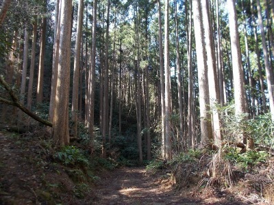 f0308898_19171864.jpg