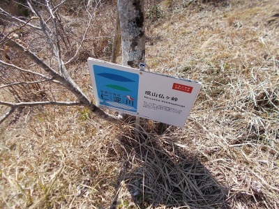 f0308898_19194845.jpg