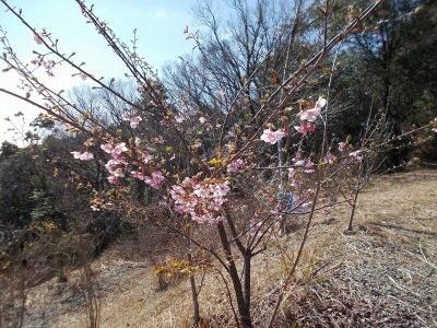 f0308898_19201587.jpg