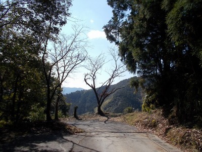 f0308898_19232537.jpg